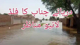 River Chenab Flood In My Village 3rd September 2025