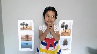 GHAF TREE / about UAE national tree / Dessert tree