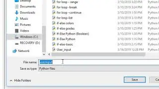 Python Tutorial 7: User input