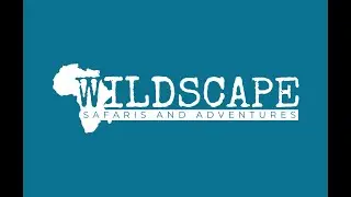 Wildscape