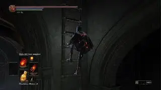 Dark Souls III - The Blood of the Dark Soul