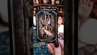 What's going on in your life right now? | Red Fairy Tarot