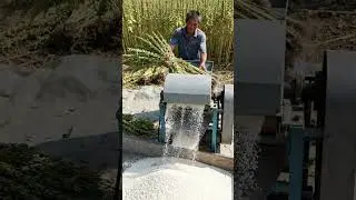 It is really convenient to separate sesame seeds by machine#shorts #farmer #fruit#nature#agriculture