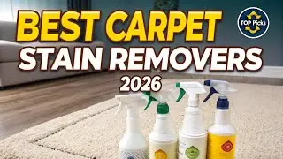 Best Carpet Stain Removers 2026 | Carpet Stain Remover Reviews