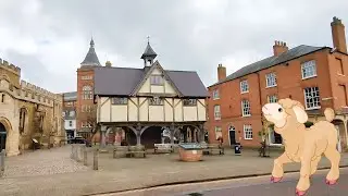 A day in Market Harborough - we rescued a lamb!