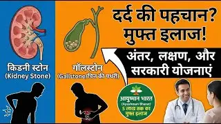 Kidney Stone vs Gallstone: लक्षण, इलाज और मुफ्त ऑपरेशन की जानकारी | Free Treatment in India