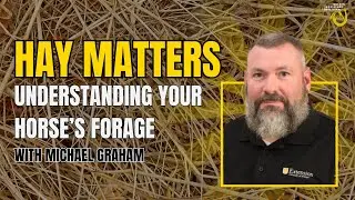Hay Matters: Understanding Your Horse's Forage