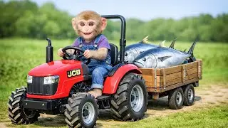 Monkey Farm Tractor Gets Stuck in Mud While Catching Giant Fish! -Monkey Farm Work |Zuko Monkey Farm