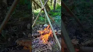 Survival Skills ➡️Making tea in a paper cup #survival #camping #hacks #outdoors #skills