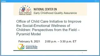 Perspectives from the Field on Implementing the Pyramid Model