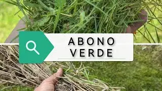 El Lombricero - Siembra de abono verde oto&ntilde;o 2021. Iniciamos nuestra andadura de la mejor forma 🍀🤞