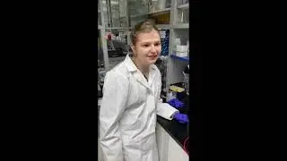 Gel Electrophoresis Parts 1-4 (full) - Nonvisual Science Techniques