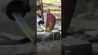 🔥BEGINILAH HASILNYA!!! Proses pembuatan koret, gatul, tukang besi #blacksmith #shorts #forging