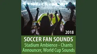 Soccer Fans Clapping and Singing, Football Stadium Atmosphere