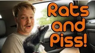 Rats and Piss! - Riding Shotgun #12