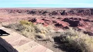 Petrified Forest National Park