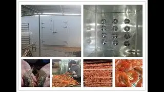 Sea shrimp dryer