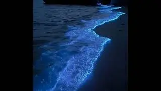 (free) Chill Chris Travis type beat - Waves