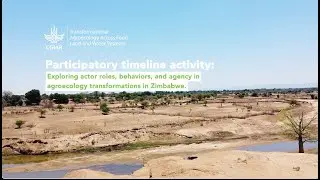 Exploring actor roles, behaviors, and agency in Agroecology transformations in Zimbabwe