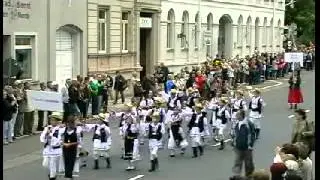 Trachtenumzug Altenburg 2012 Teil4