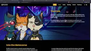 Boss Cat Rocket Club BCRC - Cardano CNFTs