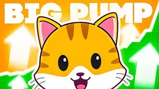Cate Coin Up 200%