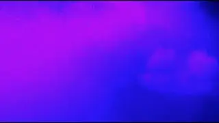 Violet Dream - L.O.B.R.