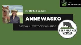 Beef Market Update: Fed cattle prices steady, live cattle movement surprises in latest report