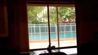 Hollywood Hills FL House for Rent, Michael Rosenbaum Realtor