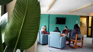Multicultural Student Services Living Learning Community