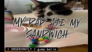 Spider5G - MY DAD ATE MY SANDWICH