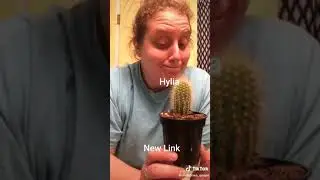 Linked Universe TicToks I guess (1)