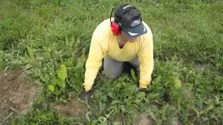 Identifying Weeds