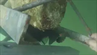 Dock Maintenance and repair