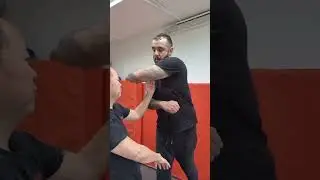 garn sau forward pressure wing chun #kungfu #martialarts