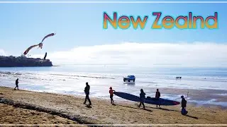 [4K Virtual Tour] 💧Mairangi Bay💧Murrays Bay#Auckland#NewZealand
