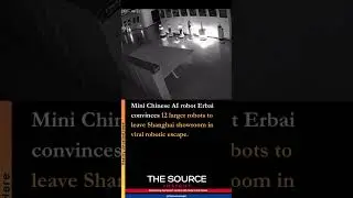 Mini Chinese AI robot Erbai convinces 12 larger robots