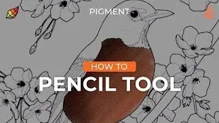 Pigment How To: Blending with the Pencil Tool | Digital Coloring Process Tutorial | Pixite