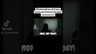 Episode 6, 