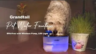 Pet Water Fountains with Wireless Pump LED Light Grandtail