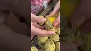 Eggs Review Satisfying Video