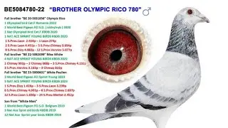 Full Brother Of 