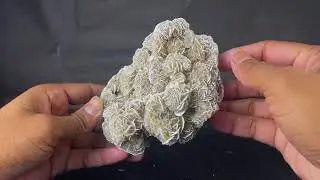 Gypsum Selenite-367 #malachite #azurite #minerals #crystals #crystalcaveindia