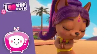 ✨🎥 Światła, Kamera i BOLLYWOOD 🎥✨ NOWY Sezon 💖 VIP PETS 🌈  ✨ Bajki dla DZIECI po POLSKU