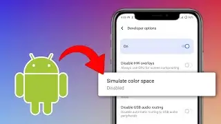 What is Simulate Colour Space in Developer Options? | Simulate Colour Space Meaning Explained