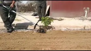 Stihl Rotovator, machine for gardening