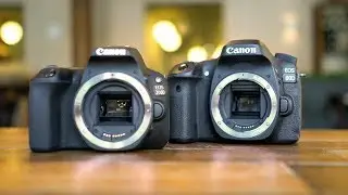 Canon 200D/SL2 против 80D: лучшая камера для видеоблогов? &mdash; подробный обзор