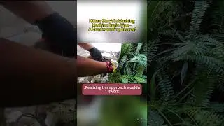 Kitten Stuck in Washing Machine Drain Pipe &ndash; A Heartwarming Rescue!#animals #kitten #rescue