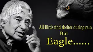 A.P.J. Abdul Kalam Motivational Quotes - All birds finds shelter during rain but eagle......