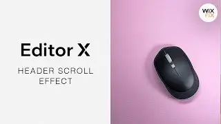 Header Transition Effects in Editor X | Wix Fix